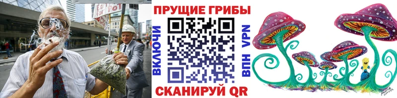 Купить закладки Кизляр Псилоцибиновые грибы GOLDEN TEACHER