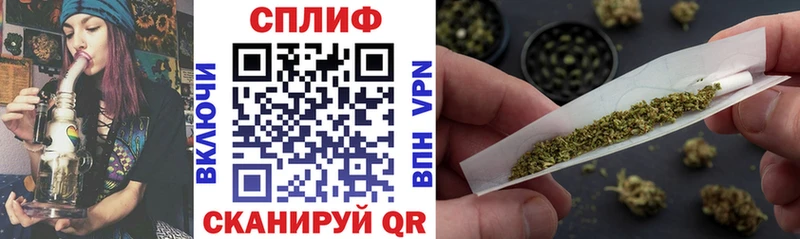 Конопля конопля  Купить закладки  Кизляр 
